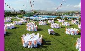 Seydam Organizasyon