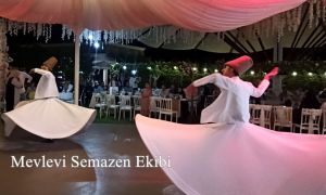 hilal organizasyon 